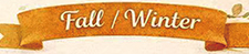 fall winter banner web