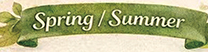 spring summer banner web