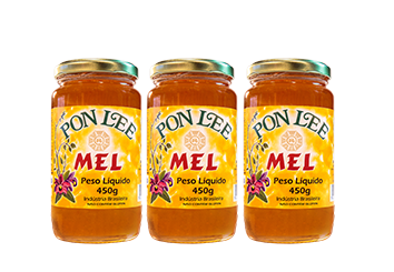 bee honey